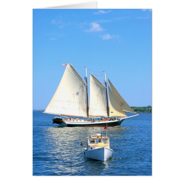 Barcos de Maine (Frente)