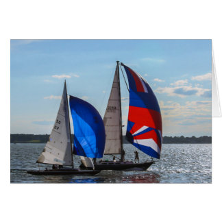 Barcos de vela