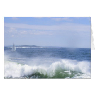 Barcos de vela