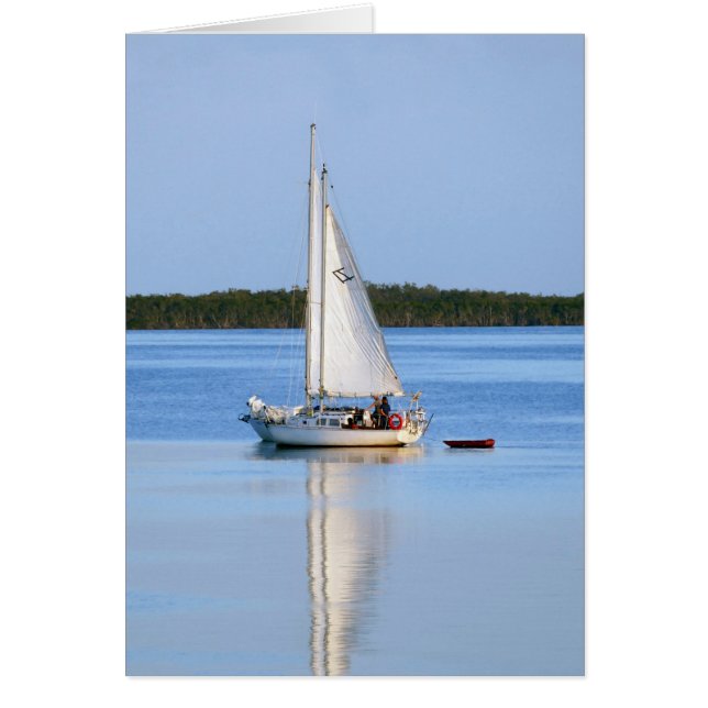 Barcos de vela laterales (Frente)