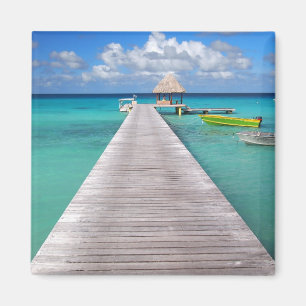 Barcos en un embarcadero en el imán pacífico