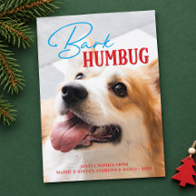 Bark Humbug Divertido Perro De Navidad Fotografía