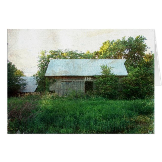 Barn de 1899 (Anverso (Horizontal))