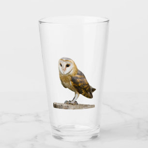 Barn Owl