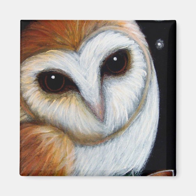BARN OWL CERRAR imán (Frente)
