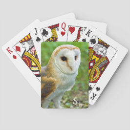 Barn Owl Jugando cartas