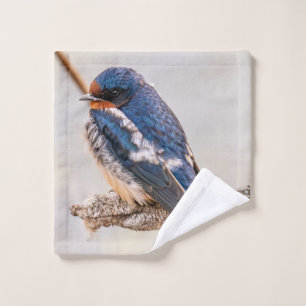 Barn Swallow: Avian canadiense