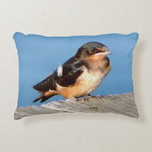 Barn Tragar almohada de acento