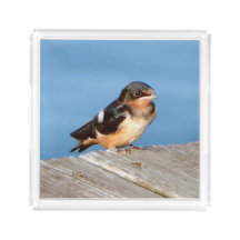 Barn Trague bandeja acrílica