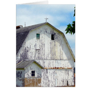 Barn Viejo