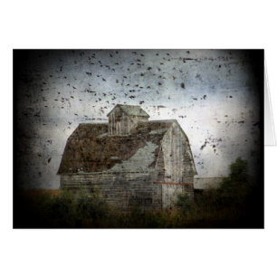 Barn y Aves