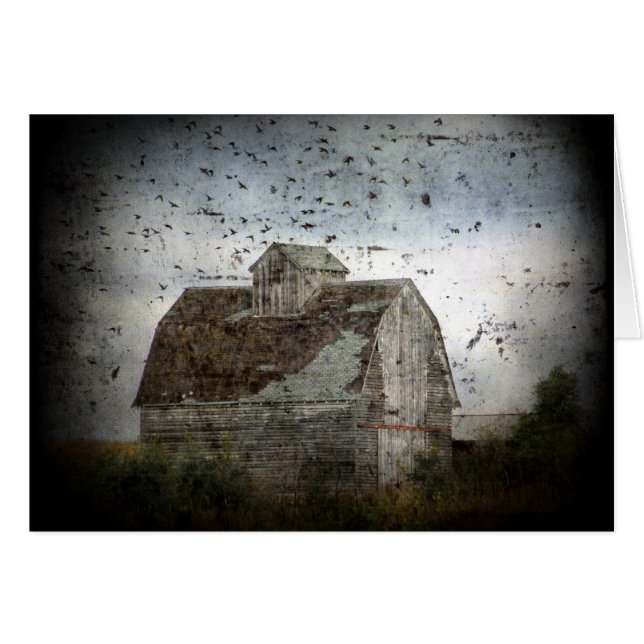 Barn y Aves (Anverso (Horizontal))