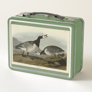 Barnacle Goose - de los pájaros de América de Audu