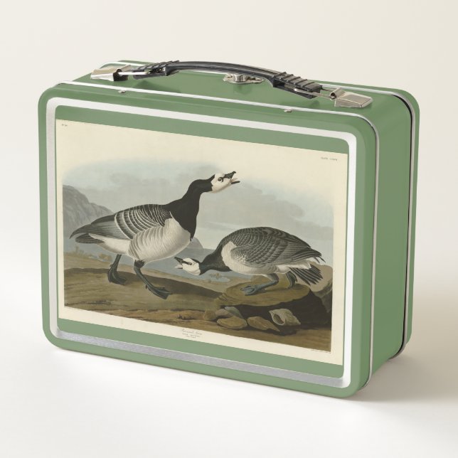 Barnacle Goose - de los pájaros de América de Audu (Reverso)