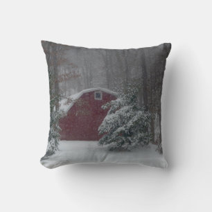 Barno Rojo en la almohada de nieve