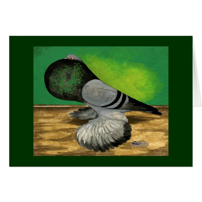 Barra azul cropper holandesa (Anverso (Horizontal))