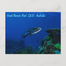 Barracuda en la gran postal de la barrera de coral