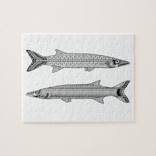Barracuda Pescado Rompecabezas de coloración para