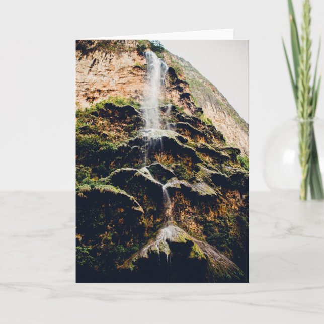 Barranco de Arbol De Navidad In Sumidero (Anverso)