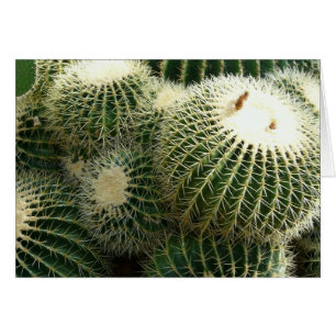 Barrel Cactus Blank