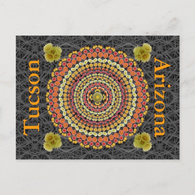 Barrel Cactus Mandala 2 como postal (Anverso)