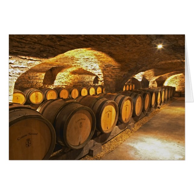 Barreras de roble en el sótano del Domaine Comte (Anverso (Horizontal))