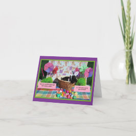 Barreras en los conejos 