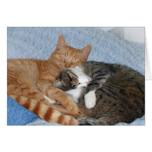 Barriadas durmientes