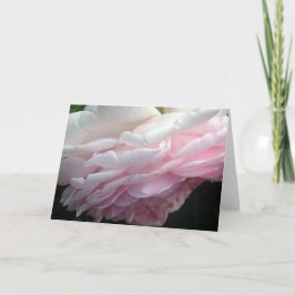 Barrido saludo de flores rosadas o tarjetas de not