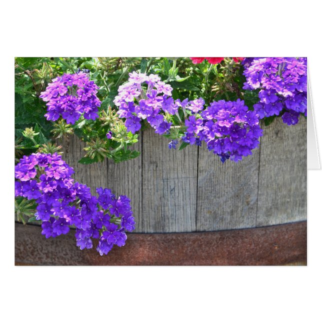 Barril De Flores (Anverso (Horizontal))