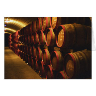 Barriles de vino Tokaj apilados en Disznoko