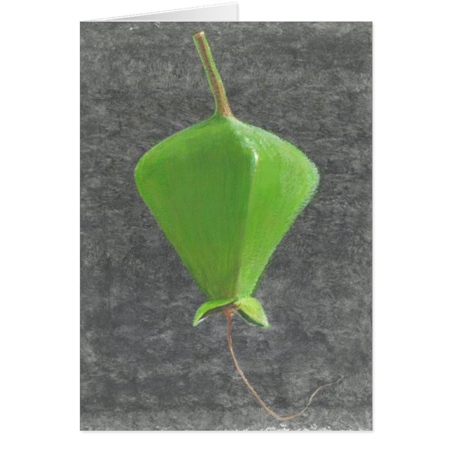 Barringtonia Acutangula (Frente)
