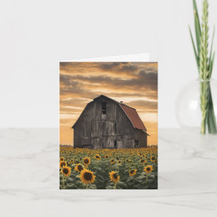 Barrio Antiguo Con Sunflower
