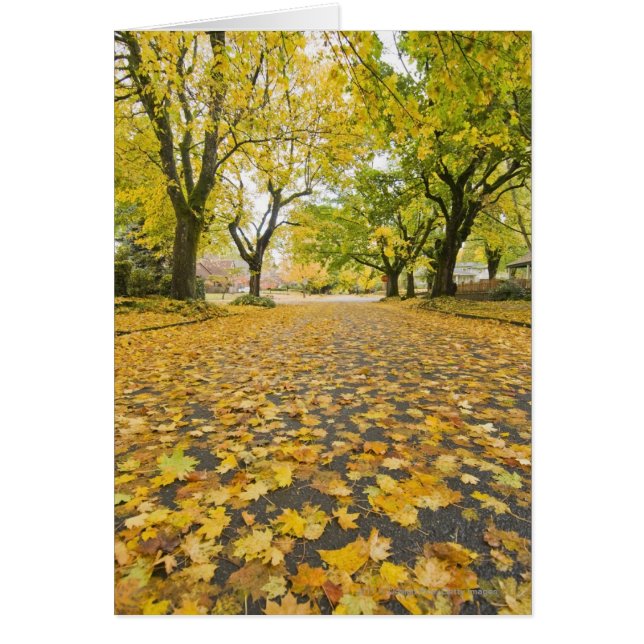 Barrio De Eastmoreland En Otoño (Frente)