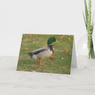 "Barrio Mallard #1" - Tarjeta de agradecimiento