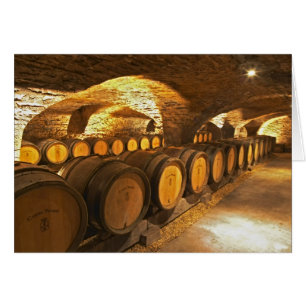 Barrios de roble en la bodega del Domaine Comte