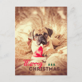Barro amasado de las Felices Navidad