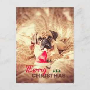 Barro amasado de las Felices Navidad