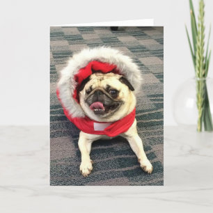 Barro amasado del navidad