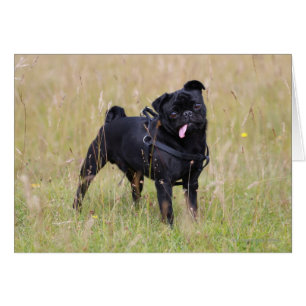 Barro amasado negro que pega hacia fuera Tounge