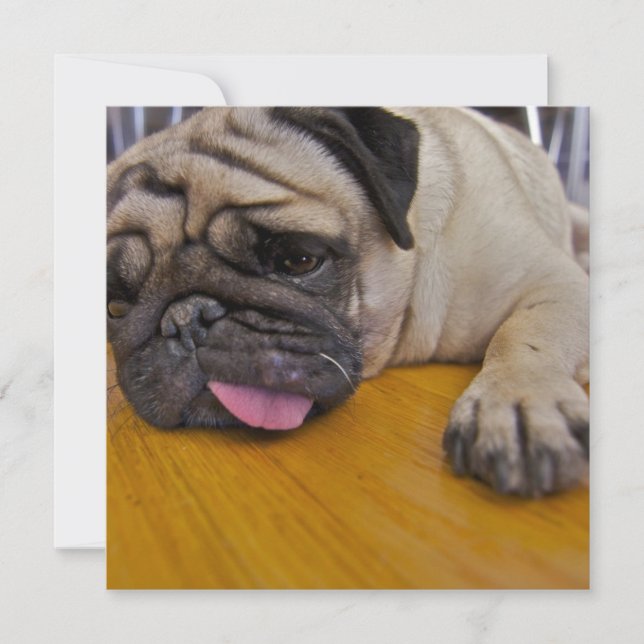 Barro amasado una demasiada invitación (Anverso)