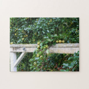 Bartlett Pears On Tree Orton Effect Jigsaw Puzzle