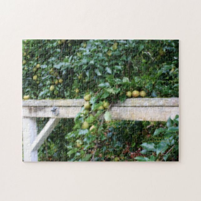 Bartlett Pears On Tree Orton Effect Jigsaw Puzzle (Horizontal)