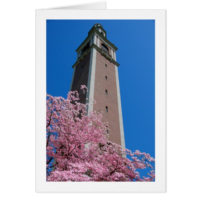 Basado en rosa (Frente)