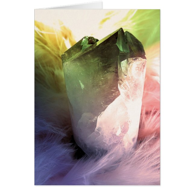 Base colorida (Frente)