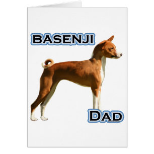 Basenji Dad 4