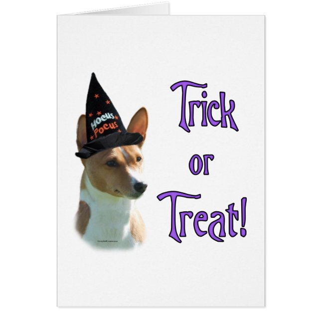 Basenji Trick (Frente)