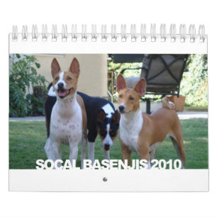 Basenjis del calendario de Socal 2010