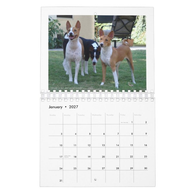 Basenjis del calendario de Socal 2010 (Jan 2027)