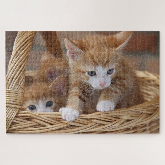 basket kittens puzzle (Horizontal)